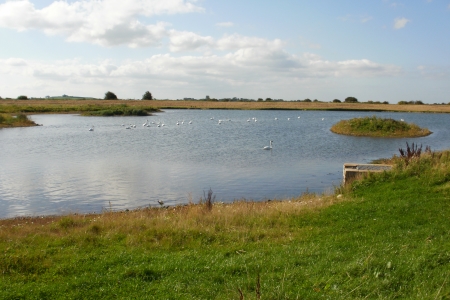 Regulated tidal exchange